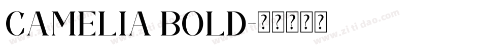 Camelia Bold字体转换